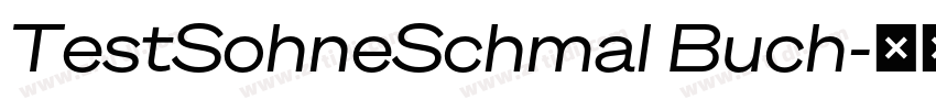 TestSohneSchmal Buch字体转换